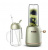 Блендер Xiaomi Deerma Electric Portable Retro Juiser (Green/Зеленый)