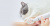 Машинка для стрижки животных 2 в 1 Xiaomi Petkit Pet Trimmer