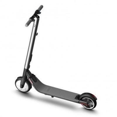 Электросамокат Ninebot by Segway Kickscooter ES2