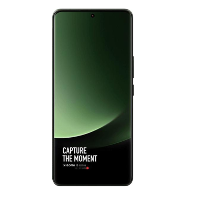 Xiaomi 13 Ultra 12/256 Gb (Olive/Оливковый)