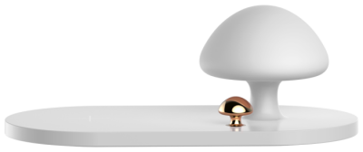 Беспроводное зарядное устройство Qi Baseus mushroom lamp Desktop wireless charger (White/Белый)